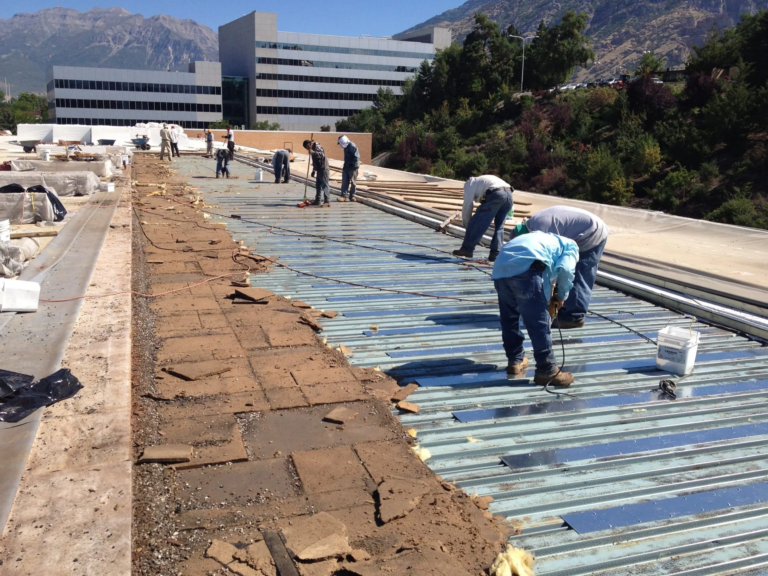 Maintenance Program Management